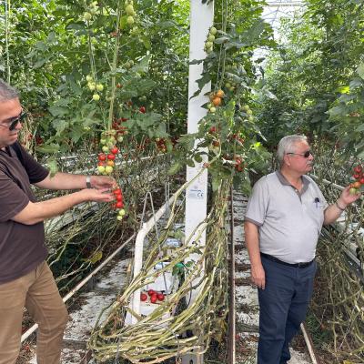 593821f0 Dac0 412c 962b 98e3577a5130