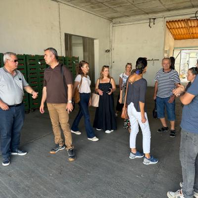 Photo 6005797253152883357 W