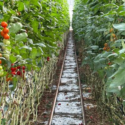 Photo 6005797253152883358 W