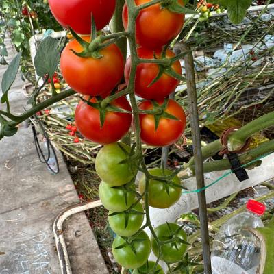 Photo 6005797253152883359 W