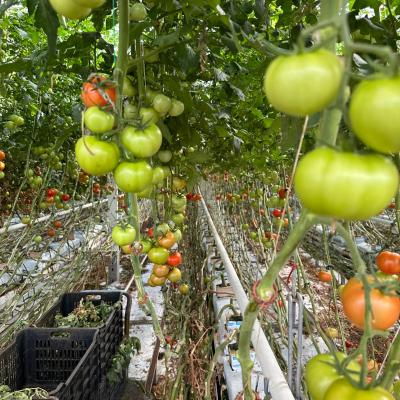 Photo 6005797253152883360 W