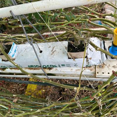 Photo 6005797253152883362 W