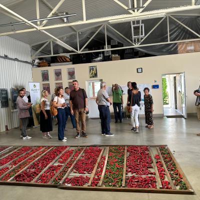 Photo 6005797253152883366 W