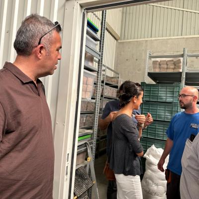 Photo 6005797253152883369 W