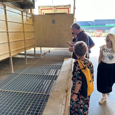 Photo 6005797253152883371 W