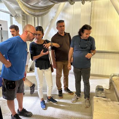 Photo 6005797253152883375 W