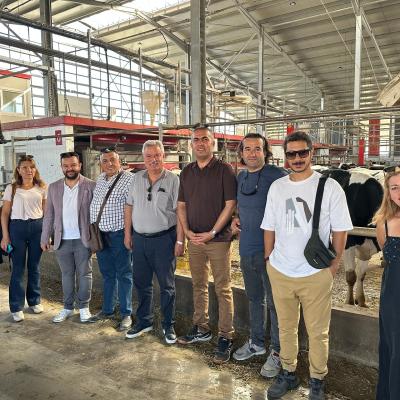 Photo 6005797253152883377 W