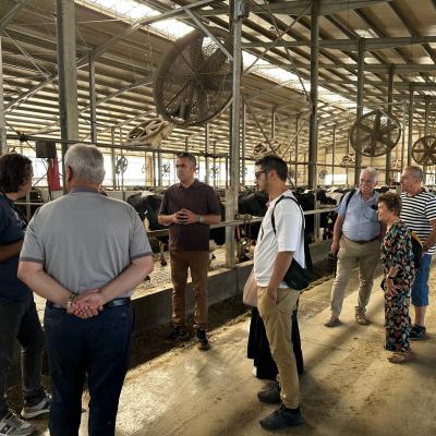 Photo 6005797253152883378 W