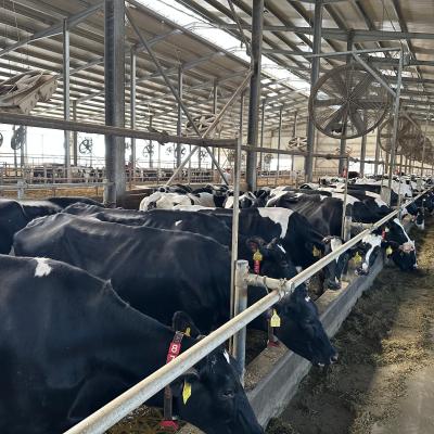 Photo 6005797253152883380 W