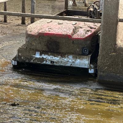 Photo 6005797253152883382 W