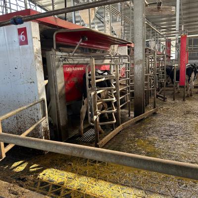 Photo 6005797253152883386 W